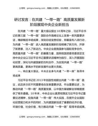 研讨发言：在共建“一带一路”高质量发展新阶段展现中央企业新担当