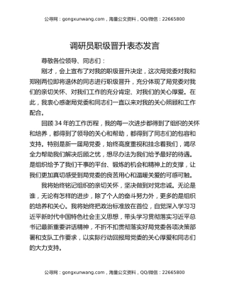 调研员职级晋升表态发言