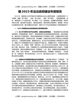 镇2023年法治政府建设年度报告