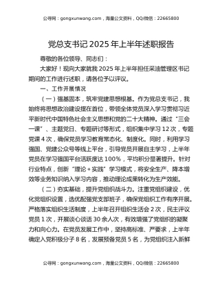 党总支书记2025年上半年述职报告