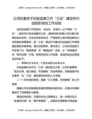 公司纪委关于纪检监察工作“三化”建设年行动的阶段性工作总结