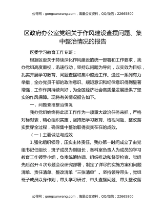 区政府办公室党组关于作风建设查摆问题、集中整治情况的报告