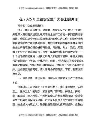 在2025年全镇安全生产大会上的讲话