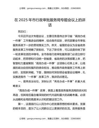 在2025年市行政审批服务局专题会议上的讲话