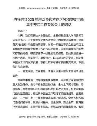 在全市2025年群众身边不正之风和腐败问题集中整治工作专题会上的讲话