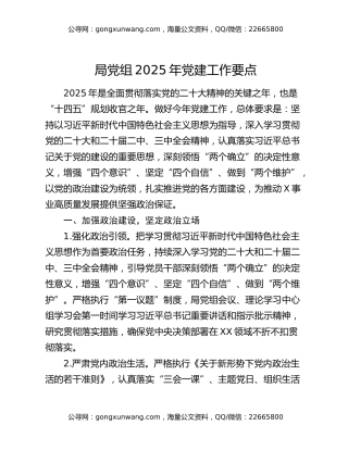 局党组2025年党建工作要点