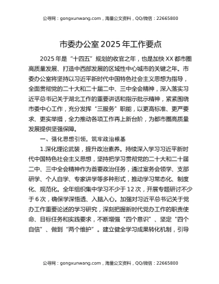 市委办公室2025年工作要点
