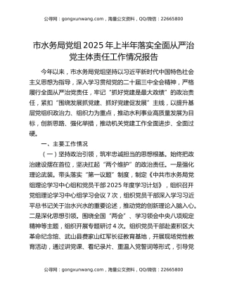 市水务局党组2025年上半年落实全面从严治党主体责任工作情况报告