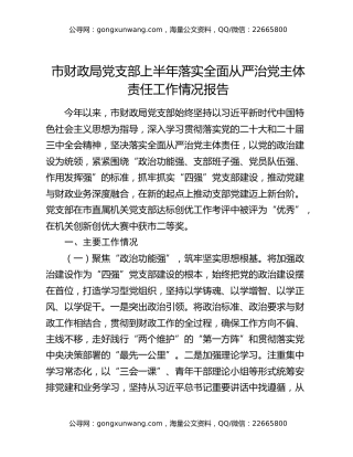 市财政局党支部上半年落实全面从严治党主体责任工作情况报告