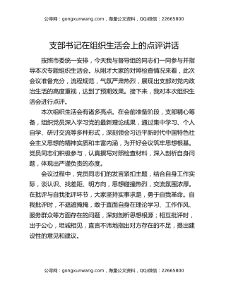 支部书记在组织生活会上的点评讲话