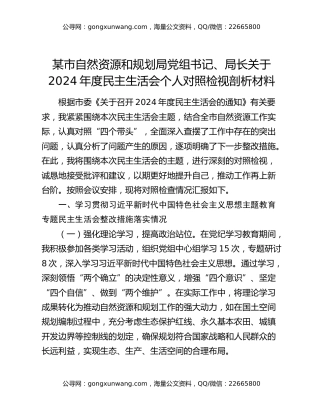某市自然资源和规划局党组书记、局长关于2024年度民主生活会个人对照检视剖析材料