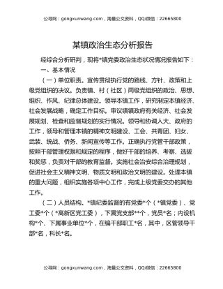 某镇政治生态分析报告