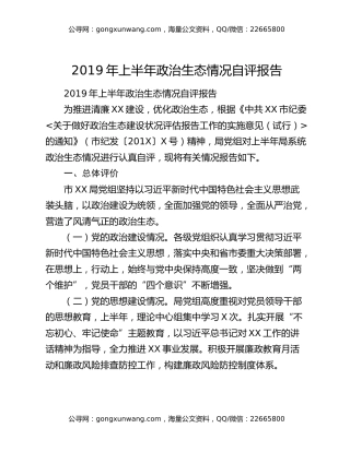 2019年上半年政治生态情况自评报告