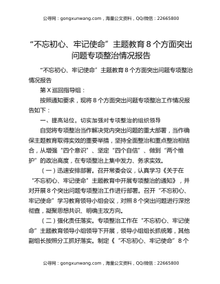 “不忘初心、牢记使命”主题教育8个方面突出问题专项整治情况报告
