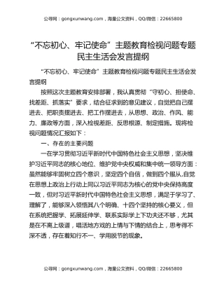 “不忘初心、牢记使命”主题教育检视问题专题民主生活会发言提纲