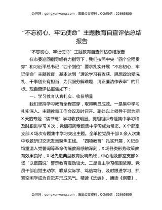 “不忘初心、牢记使命”主题教育自查评估总结报告