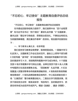“不忘初心、牢记使命”主题教育自查评估总结报告（2）