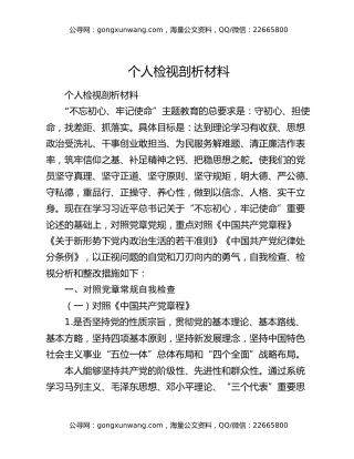 个人检视剖析材料