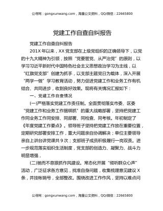 党建工作自查自纠报告