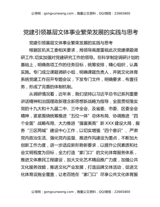 党建引领基层文体事业繁荣发展的实践与思考