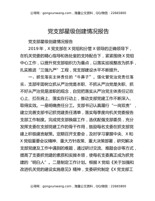 党支部星级创建情况报告