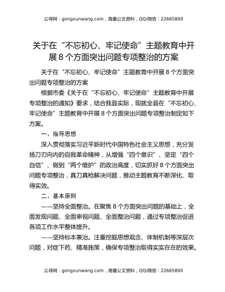 关于在“不忘初心、牢记使命”主题教育中开展8个方面突出问题专项整治的方案