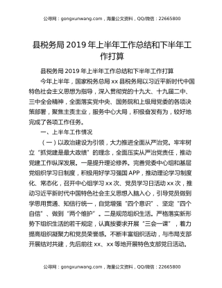 县税务局2019年上半年工作总结和下半年工作打算