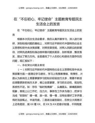 在“不忘初心、牢记使命”主题教育专题民主生活会上的发言