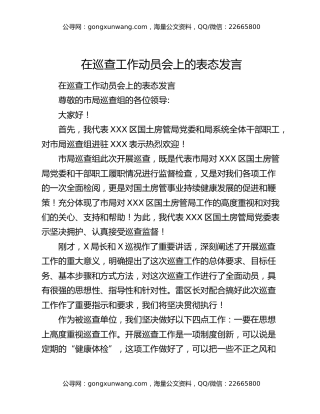在巡查工作动员会上的表态发言