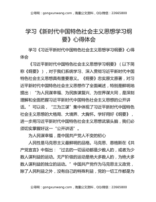 学习《新时代中国特色社会主义思想学习纲要》心得体会