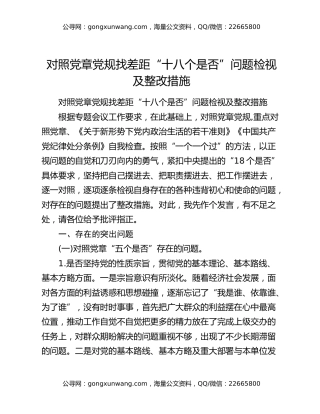 对照党章党规找差距“十八个是否”问题检视及整改措施