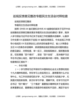 巡视反馈意见整改专题民主生活会对照检查