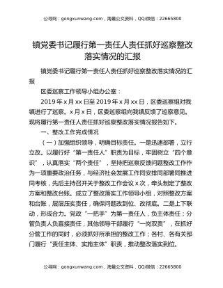 镇党委书记履行第一责任人责任抓好巡察整改落实情况的汇报