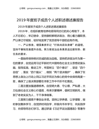 2019年度班子成员个人述职述德述廉报告