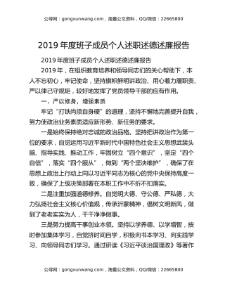 2019年度班子成员个人述职述德述廉报告（2）