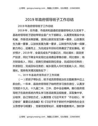 2019年政府领导班子工作总结