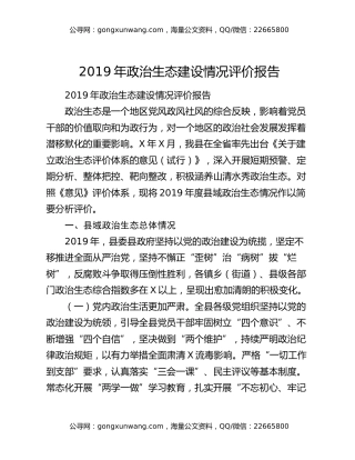 2019年政治生态建设情况评价报告（2）
