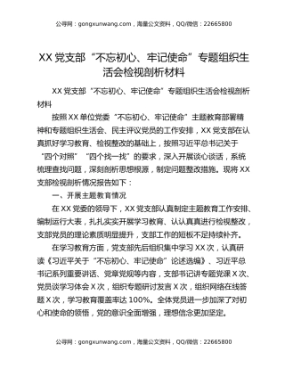 XX党支部“不忘初心、牢记使命”专题组织生活会检视剖析材料