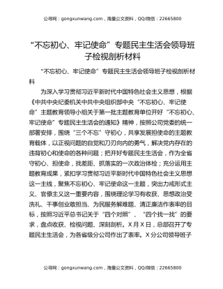 “不忘初心、牢记使命”专题民主生活会领导班子检视剖析材料