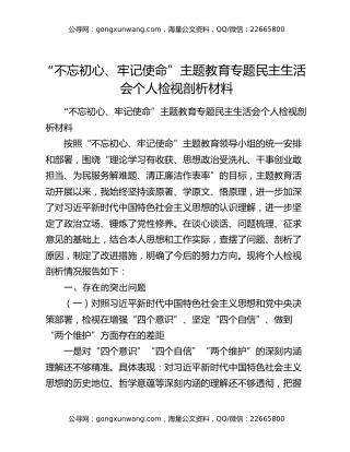 “不忘初心、牢记使命”主题教育专题民主生活会个人检视剖析材料