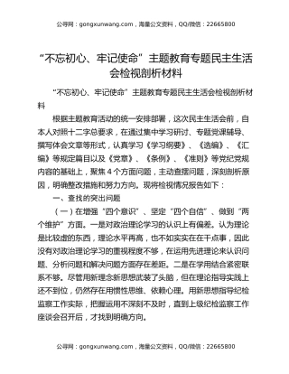 “不忘初心、牢记使命”主题教育专题民主生活会检视剖析材料