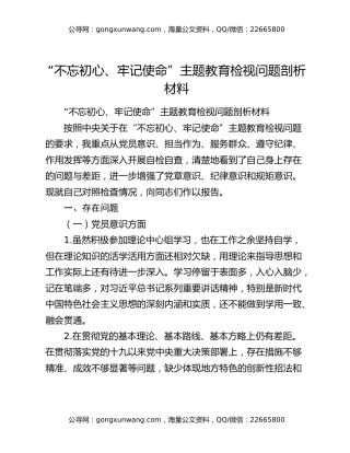 “不忘初心、牢记使命”主题教育检视问题剖析材料
