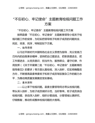 “不忘初心、牢记使命”主题教育检视问题工作方案