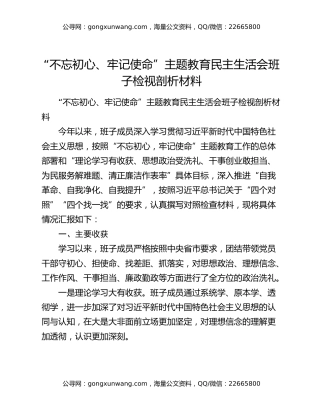 “不忘初心、牢记使命”主题教育民主生活会班子检视剖析材料