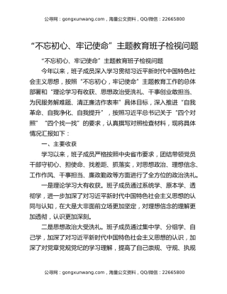 “不忘初心、牢记使命”主题教育班子检视问题