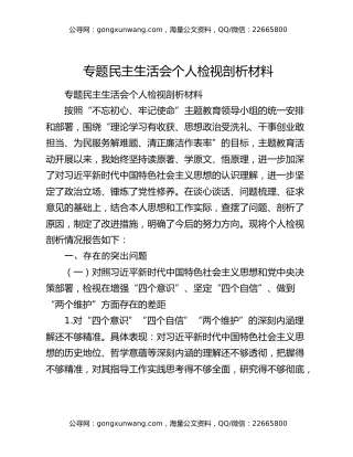 专题民主生活会个人检视剖析材料（2）