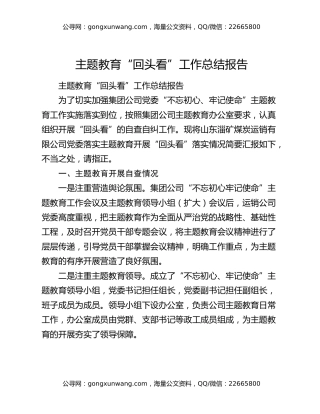 主题教育“回头看”工作总结报告