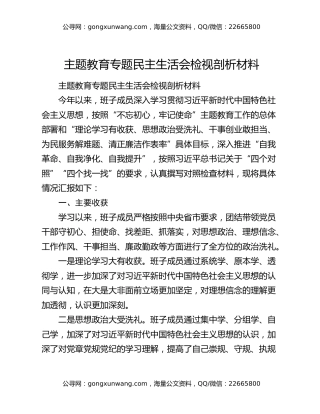 主题教育专题民主生活会检视剖析材料