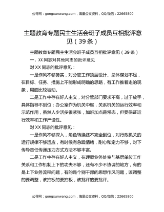 主题教育专题民主生活会班子成员互相批评意见（39条）