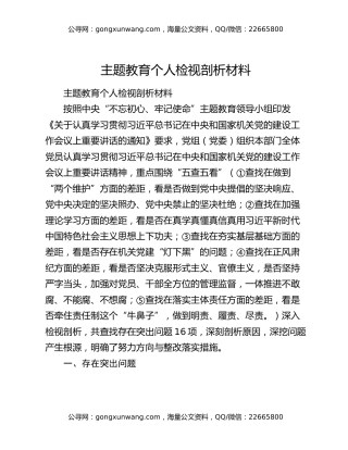 主题教育个人检视剖析材料